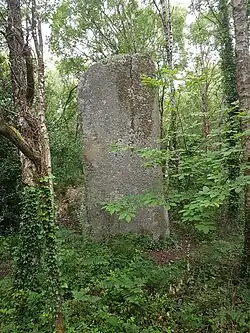 Image illustrative de l’article Menhir de Lann-ar-Peulven