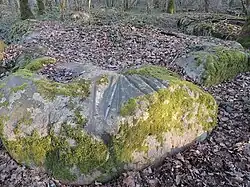 Polissoir de Mérinville