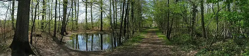 La Mare au diable, George Sand.