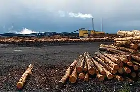 Scierie de Metsä Wood.