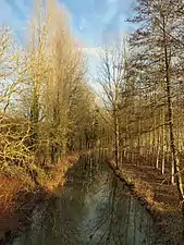 La rivière Théols en 2017.