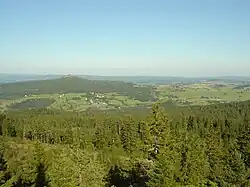 Image illustrative de l’article Forêt du Meygal