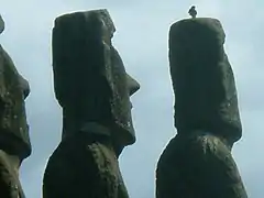 Oiseau perché au sommet d'un Moaï (plan large)