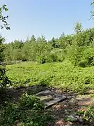 Le puits et son environnement.