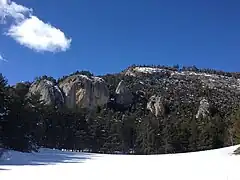 Monolithes en dolomie dans une forêt de pins à crochets dans la partie haute de la vallée à 1&nbsp;400&nbsp;m.