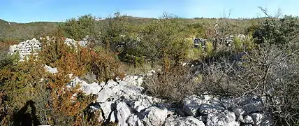 Haut-Mons : enclos carré (9 × 9&nbsp;m), avec cabane et apié (6 loges).