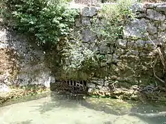 Grille d'entrée du bief.