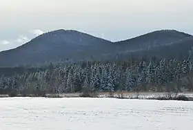Vue du mont Scotch depuis la halte routière de Woburn.