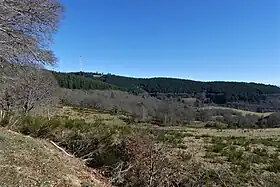 Le mont Bessou (à gauche) depuis la route des Hêtres (environ 2&nbsp;km à l'ouest).