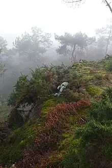 Paysage de landes au Mont Hersé.