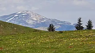 Vue du versant est de la montagne de la Frau.