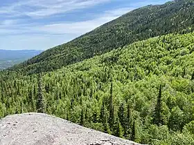 Vue de la façade orientale.