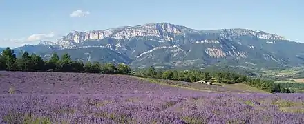 Le Dôme du Pié Ferré, point culminant de la montagne de Glandasse.