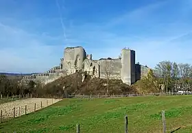 Image illustrative de l’article Château de Montoire-sur-le-Loir