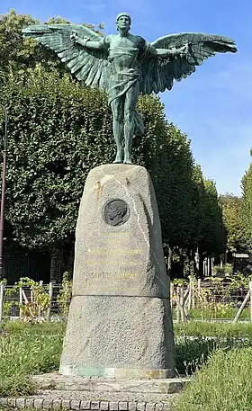 Image illustrative de l’article Ornithoptère