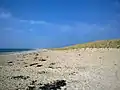 Les dunes en bordure de la plage de Mane Guen.