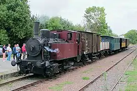 Un train à vapeur en gare de Mornac-sur-Seudre.