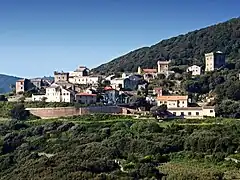 Pecorile (Morsiglia).