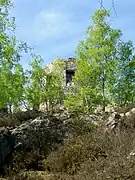 La tour Rochefort, anciennement une fausse ruine, est une fabrique située à l'écart du domaine, au lieu-dit « la Roche Pauvre », non loin de la route de Thiers-sur-Thève.