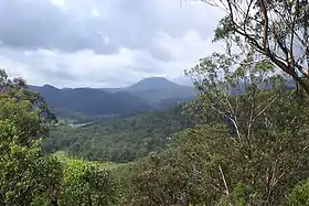 Le mont Warrawolong.