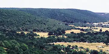 Paysage vallonné entre forêts et champs