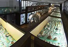 Mezzanine de la galerie de zoologie au 1er&nbsp;étage