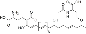 Formule chimique topologique.