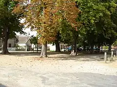 La place des Marronniers en 2011.