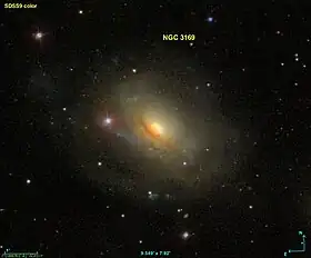 Image illustrative de l’article NGC 3169