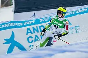 Image illustrative de l’article Neja Dvornik