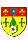 Blason de Nepvant