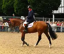 Un cavalier et son cheval bai marchent au pas sur la détente d'un concours officiel, les spectateurs les observant en arrière plan.