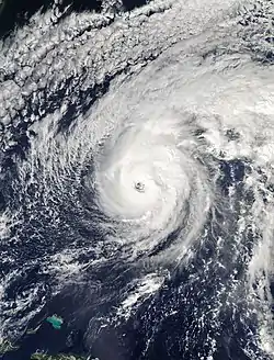 Nicole à son apex le 12 octobre à 17&nbsp;h&nbsp;50 UTC.