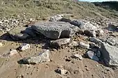 Dolmen de la Pointe de l'Herbaudière