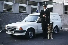 Image illustrative de l’article Ford Escort