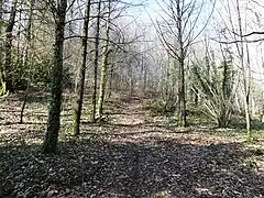 L'arboretum de la Fôt (début mars 2022).