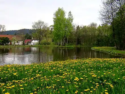 Étang à Nové Mitrovice.