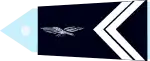 Gendarme de la Gendarmerie de l'air