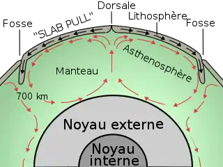 Schéma des cellules de convection.