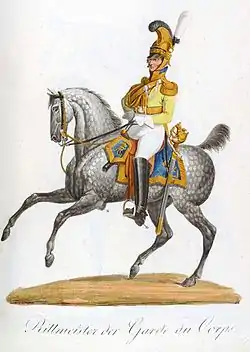 Image illustrative de l’article Gardes du corps saxons