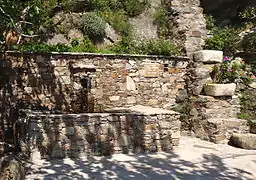 Fontaine Dr Allegrini.