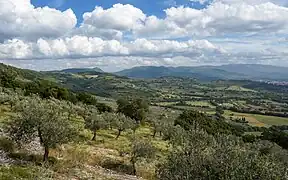 Près de Spello, Ombrie, Italie