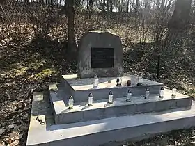 Olszanka (Kraśniczyn)