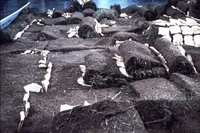 On ne souille pas la terrequi donne le pain.