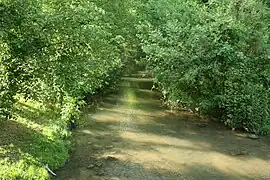 L'Orvanne, environ 10&nbsp;m en aval de la retenue d'eau d'Écuelles à Moret-Loing-et-Orvanne.