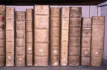 Dos d'ouvrages anciens reliés en peau.