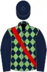 Light green, dark blue diamonds, dark blue sleeves, dark blue cap