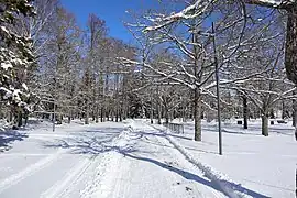 Pärnu Rannapark, Ranna pst