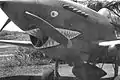 Un Curtiss P-40 Warhawk du 29e&nbsp;escadron de chasse sur la base de l’armée de terre de Madden en mai 1942.