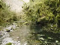 La rivière Arros près de sa source